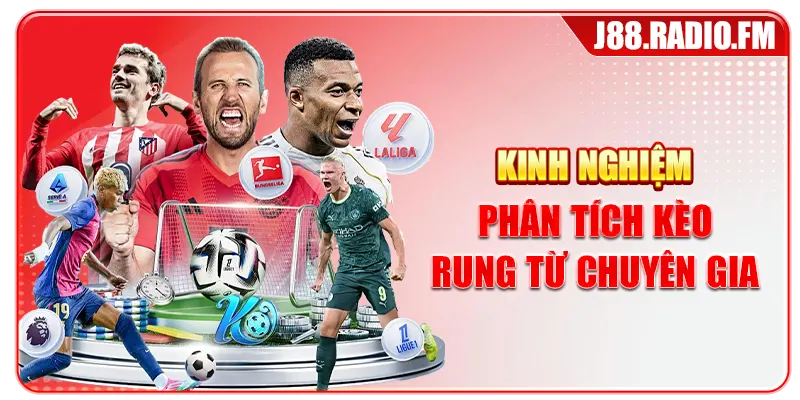 Kèo Rung Là Gì? Tìm Hiểu Bí Quyết Cá Cược Hiệu Quả - GOBK.BUZZ