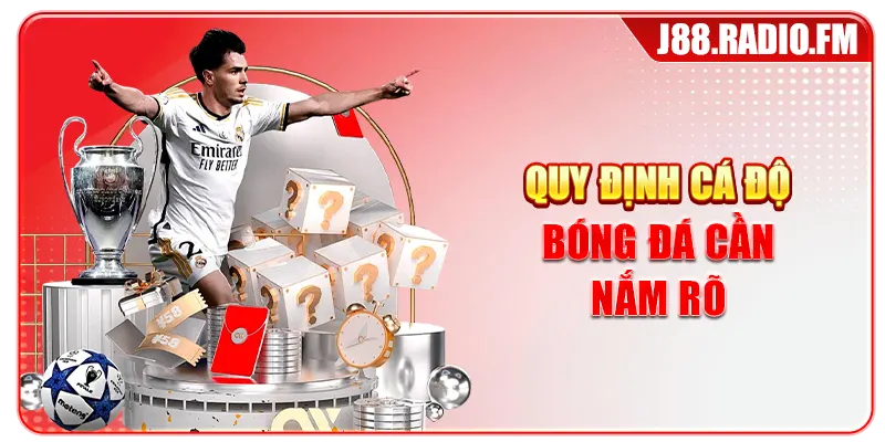 Cá Độ Bóng Đá Từ Cơ Bản Đến Nâng Cao Cho Tân Thủ - GOBK.BUZZ